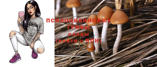 Альфа ПВП Баксан