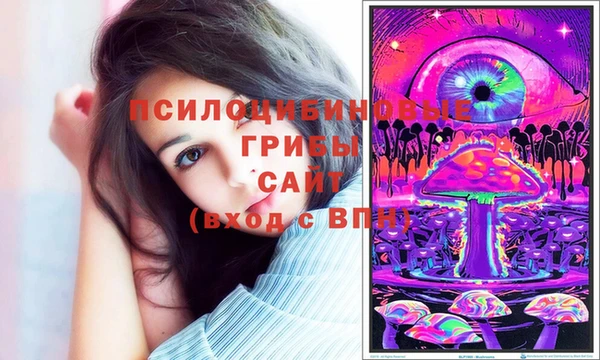 Альфа ПВП Баксан